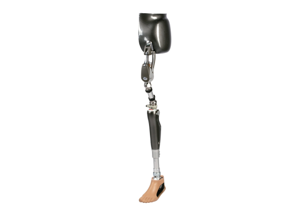 Hip Disarticulation