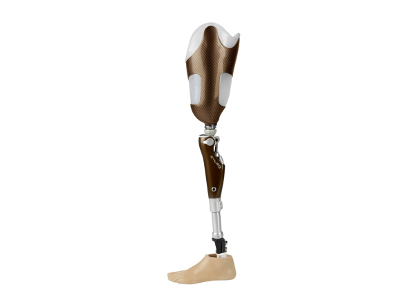 Transfemoral (above knee)