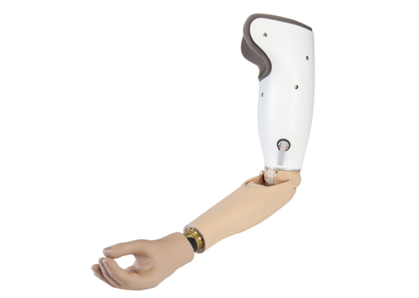 Transhumeral