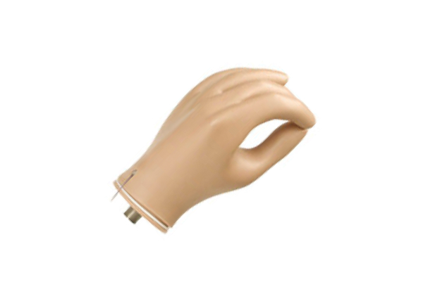 Wrist Disarticulation